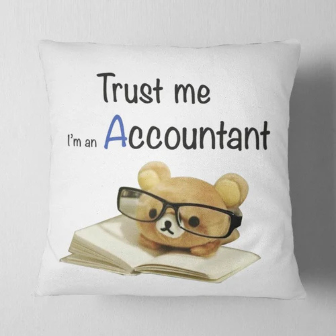 Trust Me I Am An Accountant Cushion